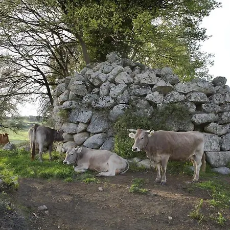 Funtanedda Bed and breakfast Teti